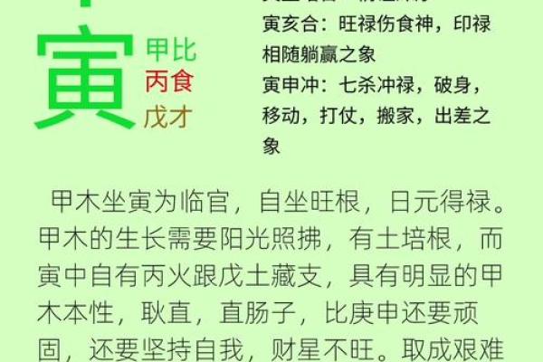 甲子日柱婚姻与性格关系解析