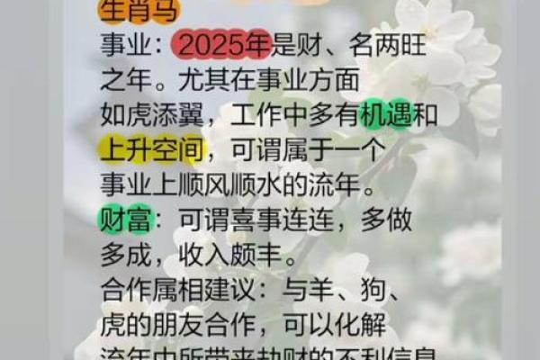 探索马年鸡的运程与未来发展方向