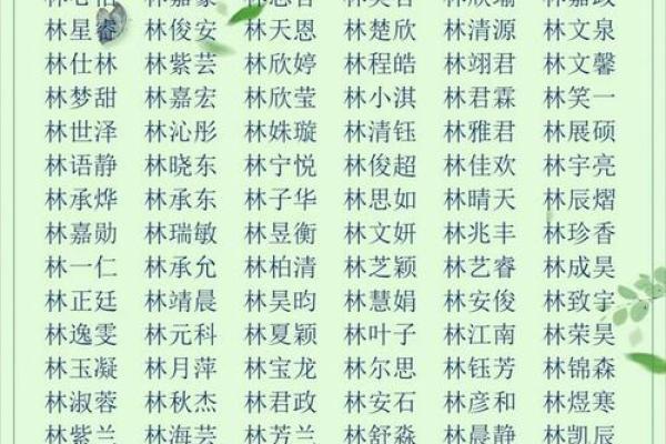 在北京选择个人起名公司地址的最佳途径