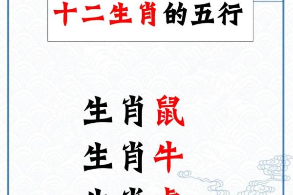解密虎与鼠的婚姻关系，是否能在差异中找到平衡