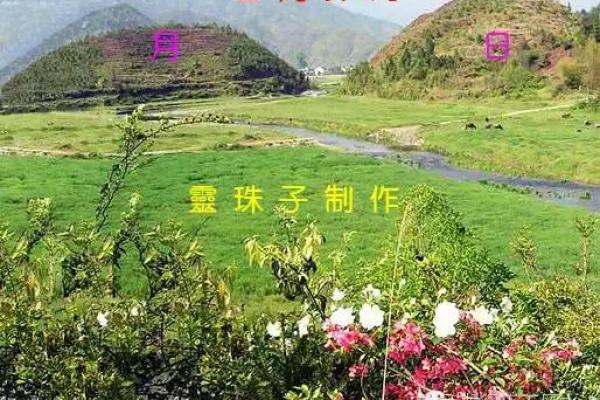 风水外洋中的五大禁忌和化解方法