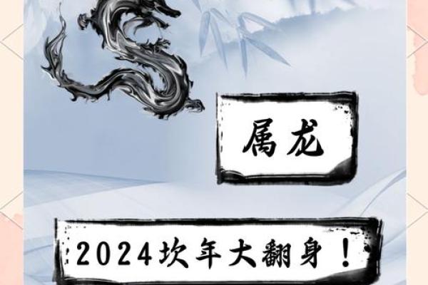 属龙运势全解析：如何把握机会迎接好运