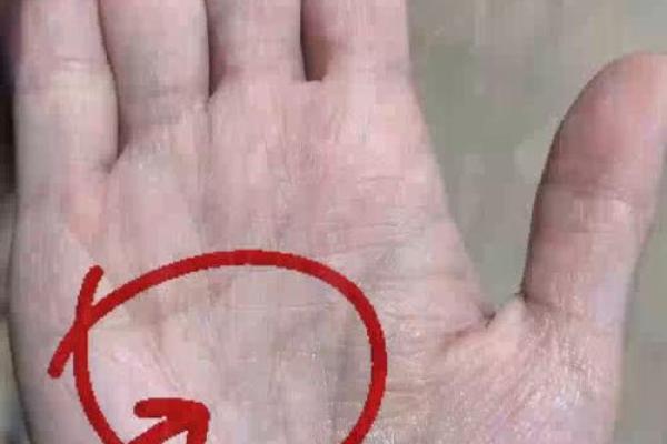 分析手型特征，如何通过手掌判断是否富贵命