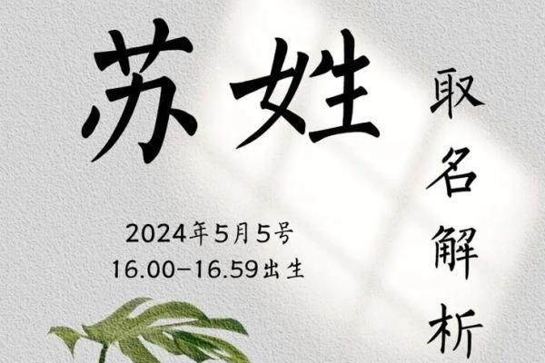 打造独特苏姓男孩名字的技巧与建议