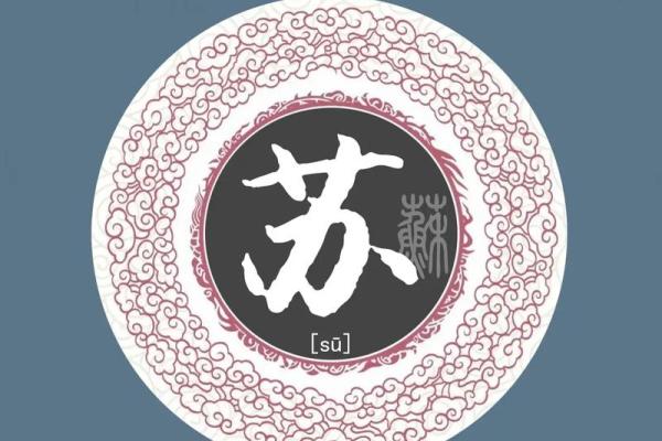 打造独特苏姓男孩名字的技巧与建议