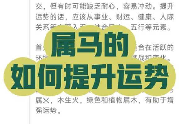 本命年属马适合做哪些投资