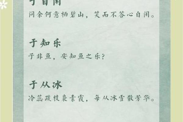 如何选择一个既有寓意又容易记的名字