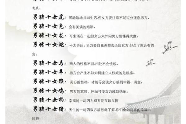 属羊与属猪的性格契合度探讨