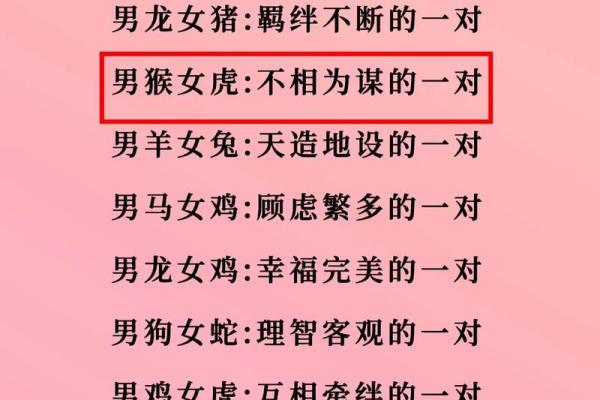属羊与属猪的性格契合度探讨