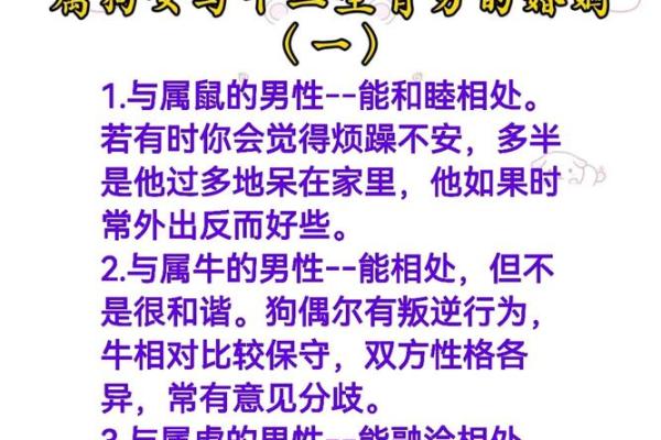 女虎男牛的性格匹配分析与感情发展探讨