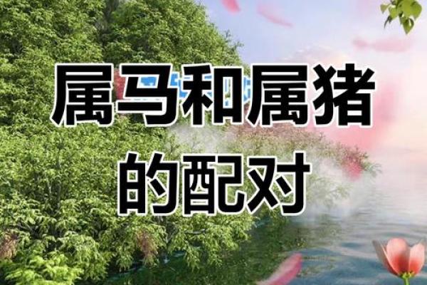 解密女猪男羊婚姻的相配指数 是否能白头偕老
