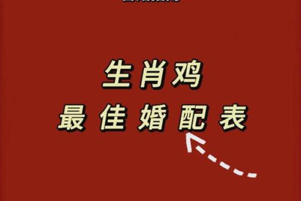 属马和属鸡的爱情配对：默契与挑战并存