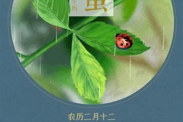 农历日历全面解析，助你掌握传统节气