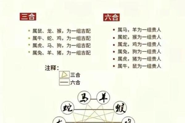 属猴运势吉凶全解，如何化解不利因素