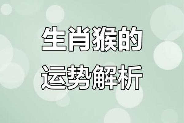 生肖猴运势分析与全年展望