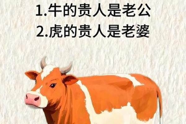 属猪与属猴的配对分析：性格契合与相处之道