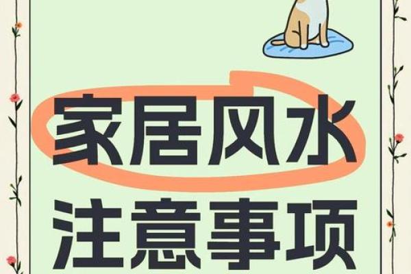 家居风水策划指南 提升居住环境的运势与舒适度