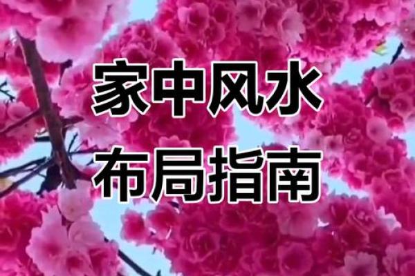 家居风水策划指南 提升居住环境的运势与舒适度