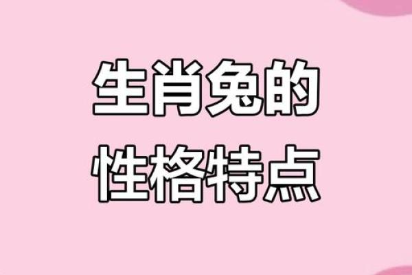 男属兔女属兔是否天作之合 情感分析与建议