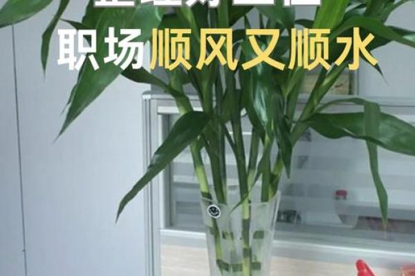 如何打造江门办公室风水布局以提升工作效率