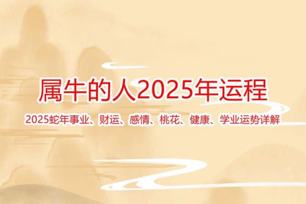 本命年牛女的最佳发展方向有哪些