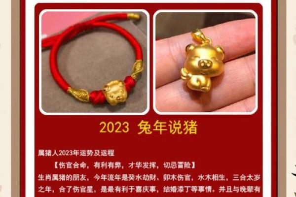 属猪人的运势全解析，如何在迎接好运