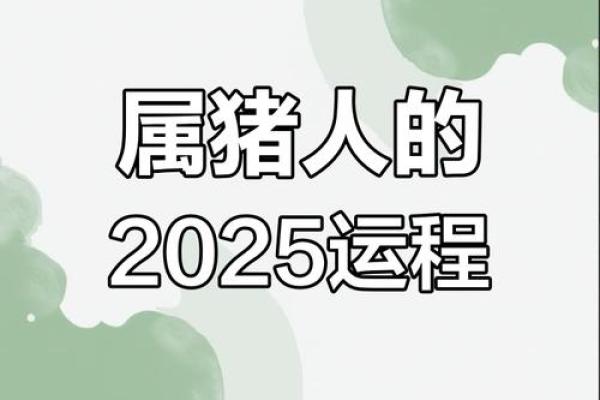 属猪人的运势全解析，如何在迎接好运