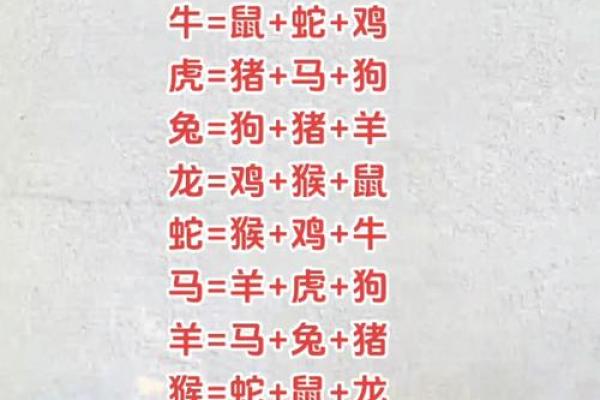 男属龙女属马婚姻是否合适 从生肖角度解析相配与否