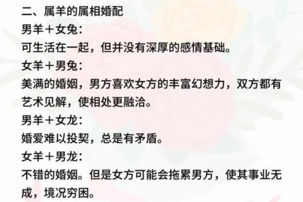 羊与猪搭配的幸福之道