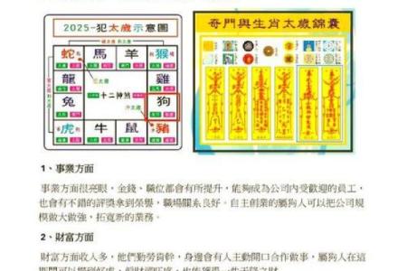 十二生肖运程：如何利用好运迎接新一年