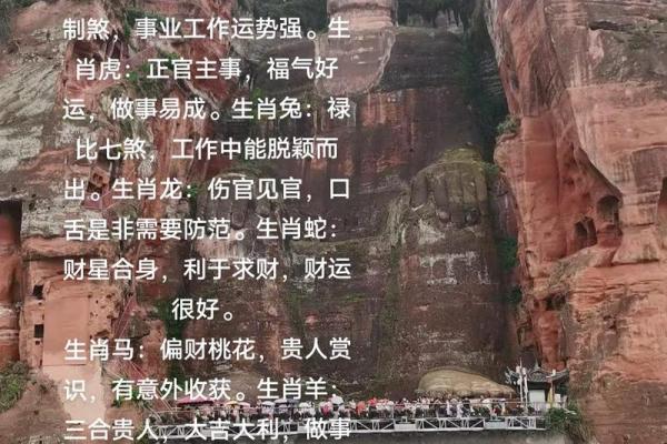 八字与生肖的深度结合：了解你一生的运势变化