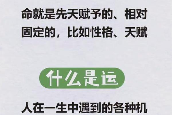 中等命：命运的中庸之道