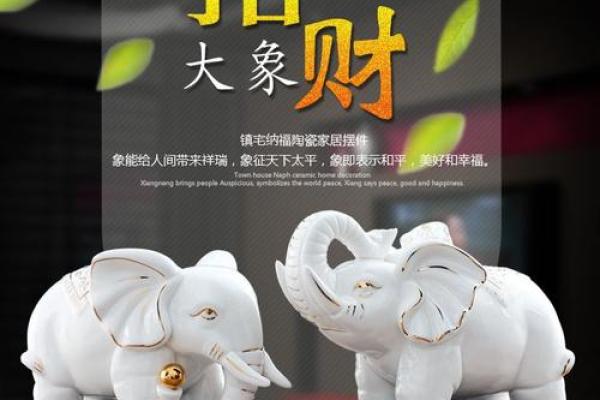 探讨家居风水学服务的选择技巧和口碑评价