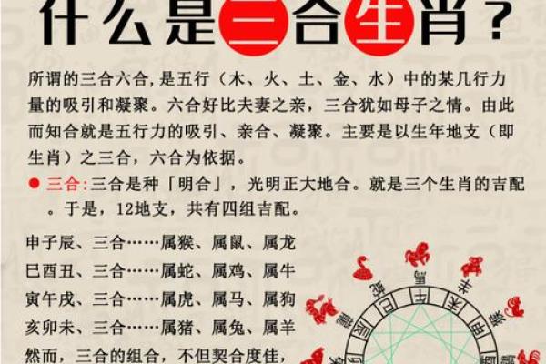 属马和属牛相配吗？探索两者性格互补与挑战