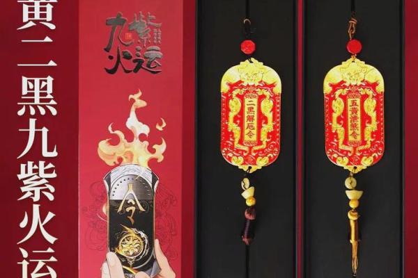 二黑在风水中的象征与影响解析