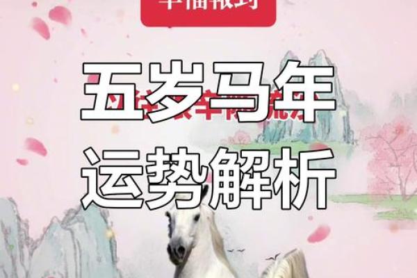 马年运程：健康、爱情与事业运势分析