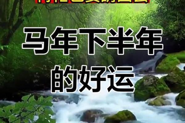 马年运程：健康、爱情与事业运势分析