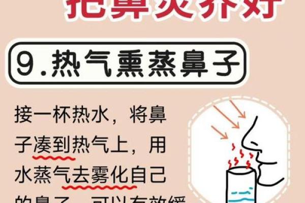 风水布局与鼻炎治疗：家中摆设的风水秘诀