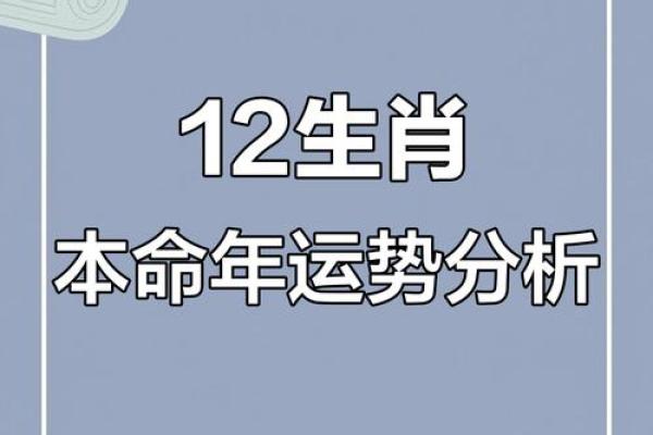 本命年马女如何理顺婚姻关系