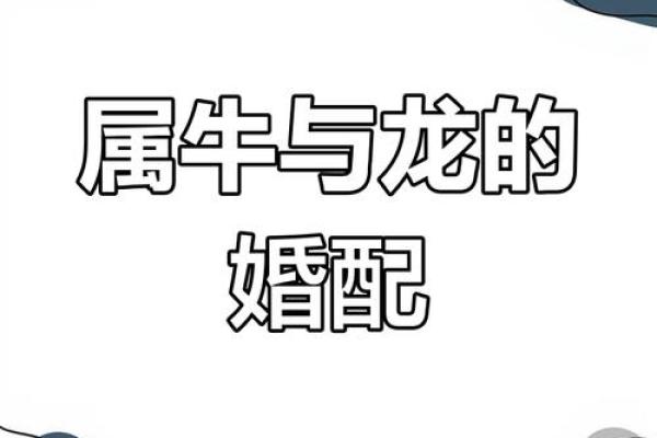 猪牛婚配适合吗？性格和谐度探讨
