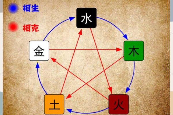 揭秘芯五行属性对个人命运的深远影响