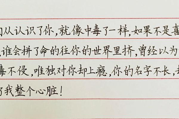 毒的名字与文化的碰撞：一场关于语言的深刻对话