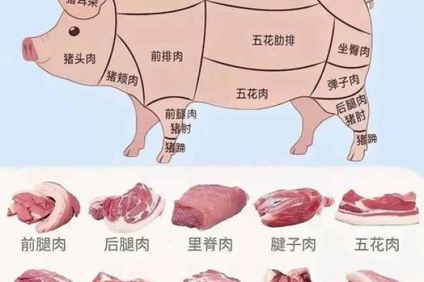 五行学说中的食物肉类如何影响你的健康？