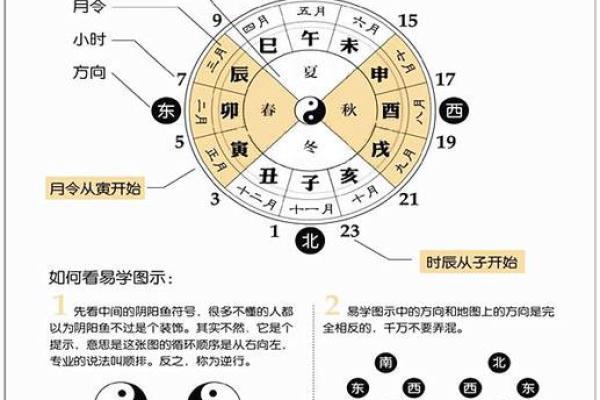 揭秘生辰八字：如何通过八字看出你的命运走向