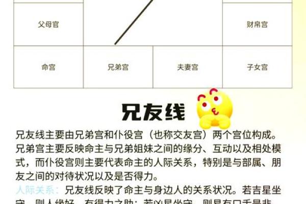 八字命理中紫薇星的深层意义，揭开命运的秘密
