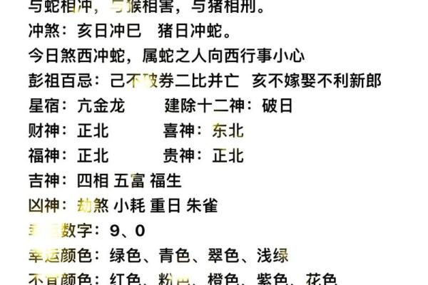 今日农历大揭秘：你不能错过的运势指南