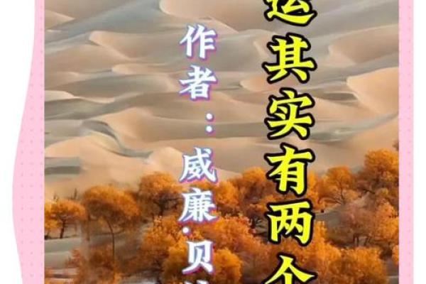 命运掌握在自己手中？八字演员的成功法则