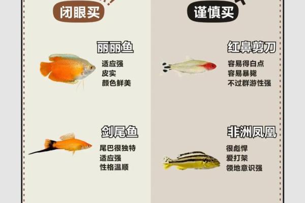 招财鱼风水混养的最佳搭配与养护建议