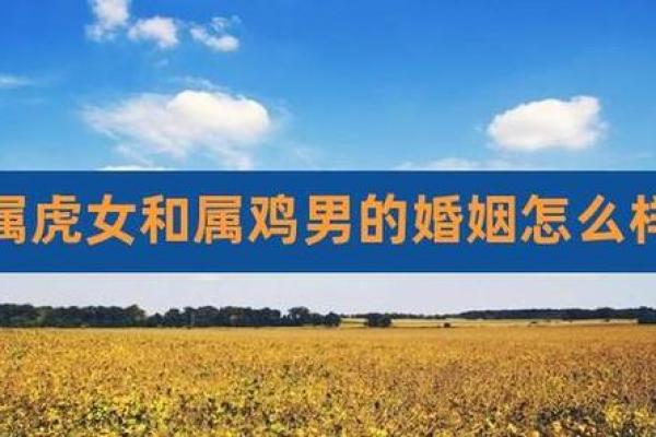 属羊女与属虎男的婚姻是否幸福