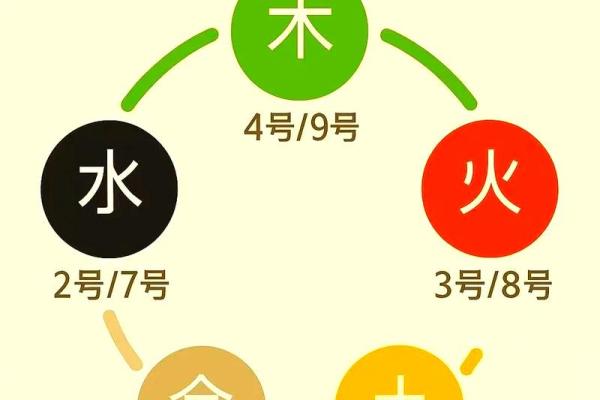 五行分数高低揭示你的性格与命运走向